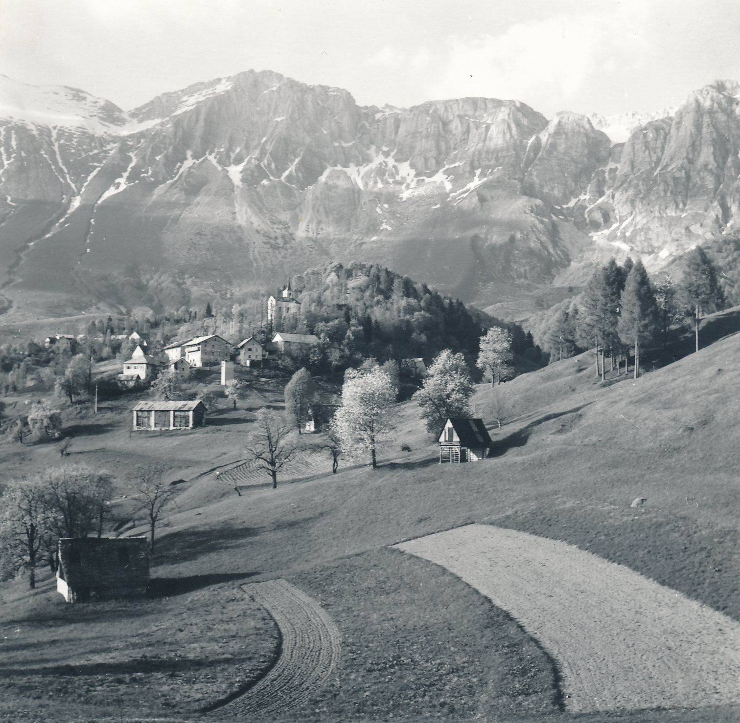 eika image